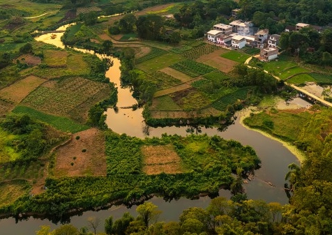 史前十大恐怖巨鱼