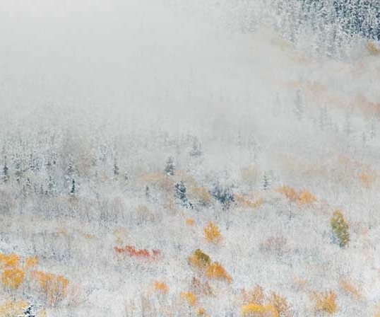 好果科技有限公司招聘