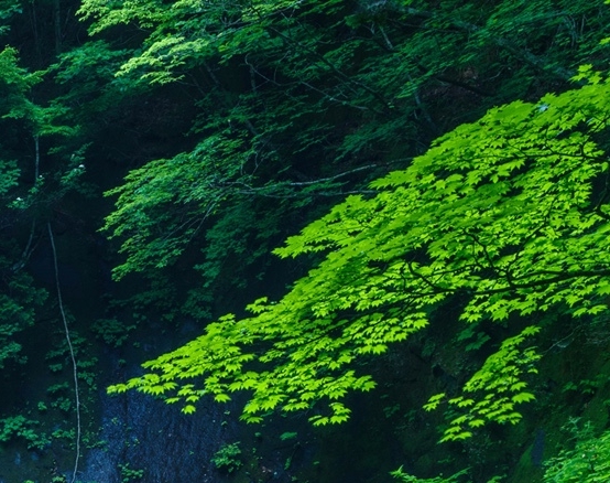 世界第一广场