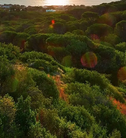 海为龙世界云为鹤故乡意思