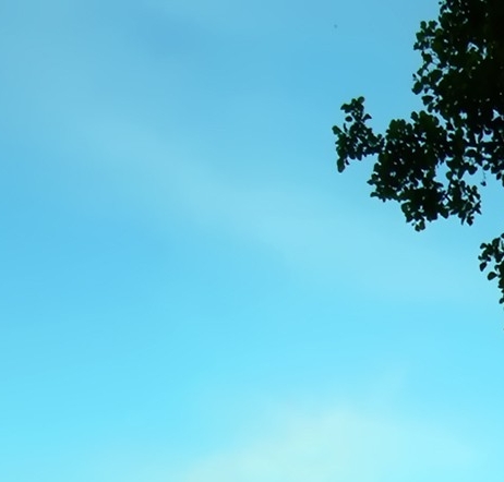 世界上最贵的东西十大排行榜