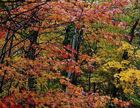 战舰世界官网首页