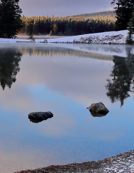 隆华科技未来市值