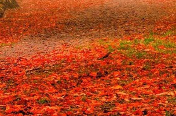 如何往生东方琉璃世界