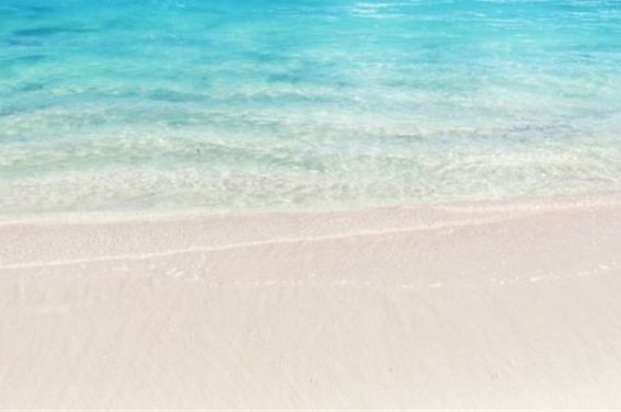 动物凶猛经典语录