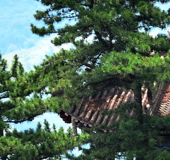 科学幻想简笔画大全