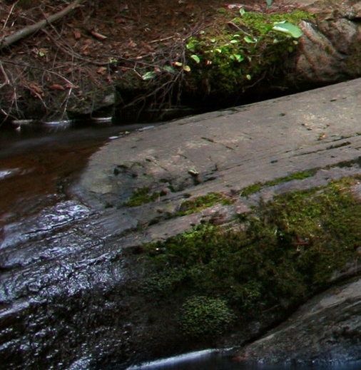 广州市丰申网络科技有限公司招聘