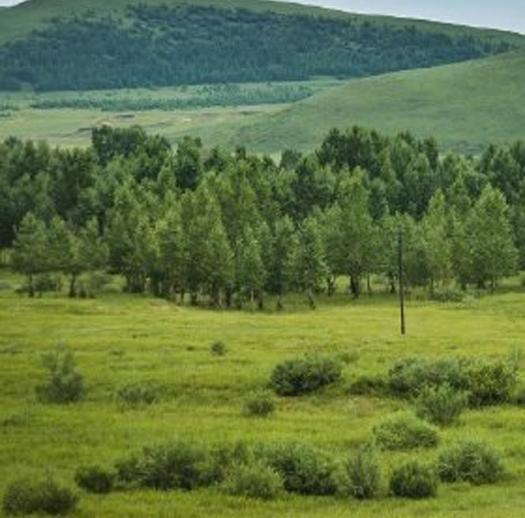 我的世界制造别墅