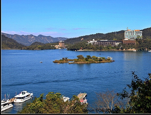 世界上有多少虫子