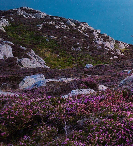 美丽的世界作文200字四年级