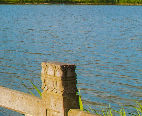 错的不是我错的是这个世界