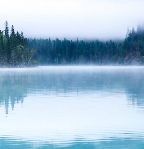 世界上最胖的男人9000斤