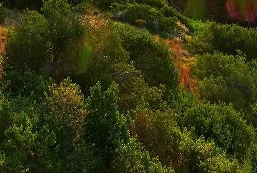 转笔世界冠军用笔