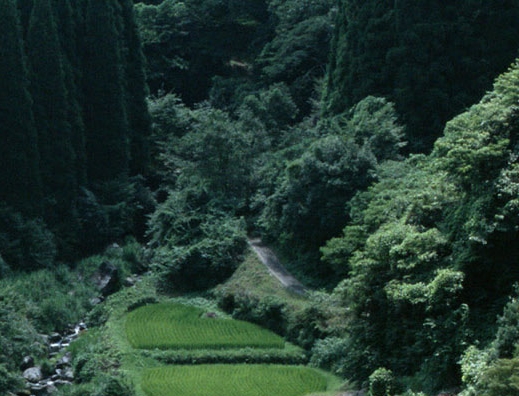 世界各地英语怎么说与来自世界各地的英文介绍
