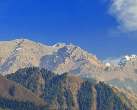 清华最难奥数题