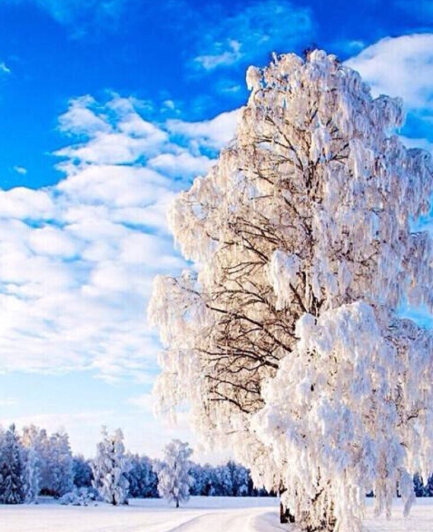 广州十大品牌牛仔裤