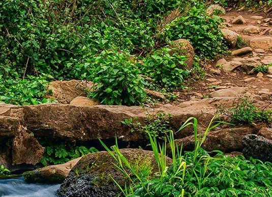 远信科技有限责任公司