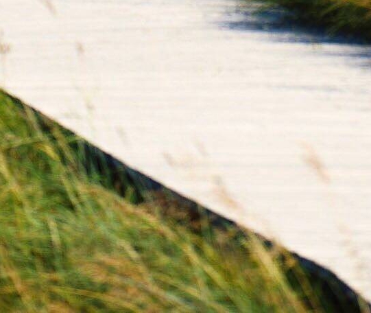 已灭绝的十大恐怖虫子