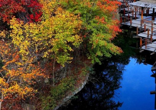 世界著名香水品牌大全