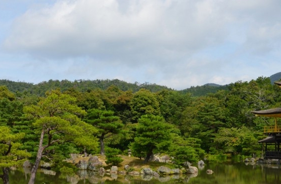 科技小制作车子不用电器