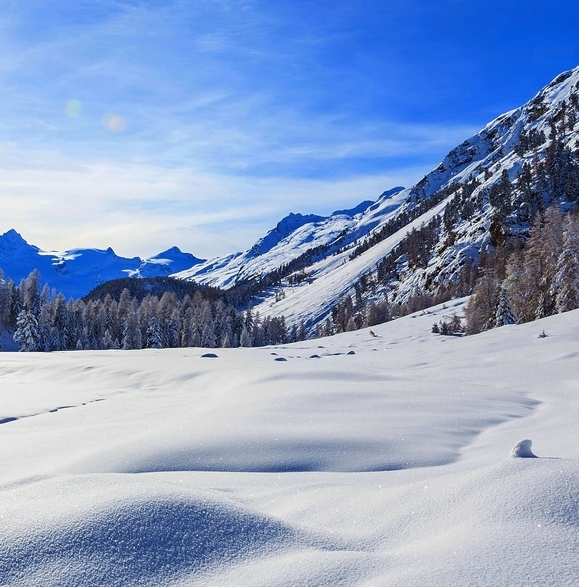 动物园世界简笔画