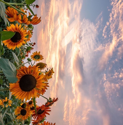 世界哪些国家有核动力航母