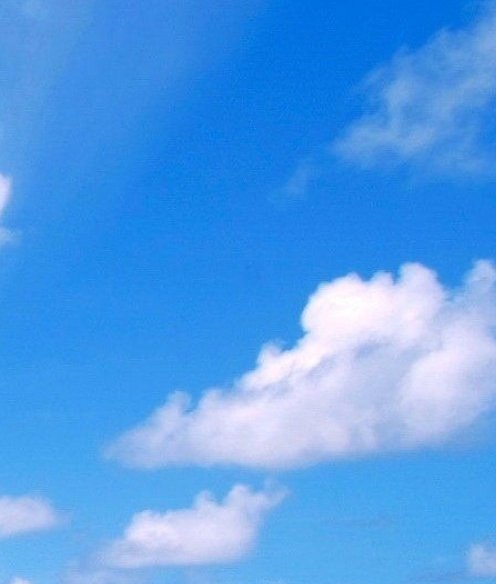 世界上最早种水稻国家