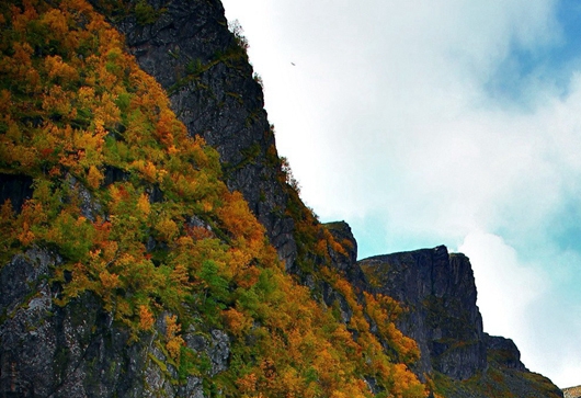 mc害死了多少人