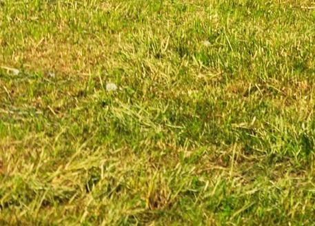 我的世界跑酷地图下载苹果版本