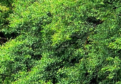 山东华建铝业科技跟山东华建铝业科技详解