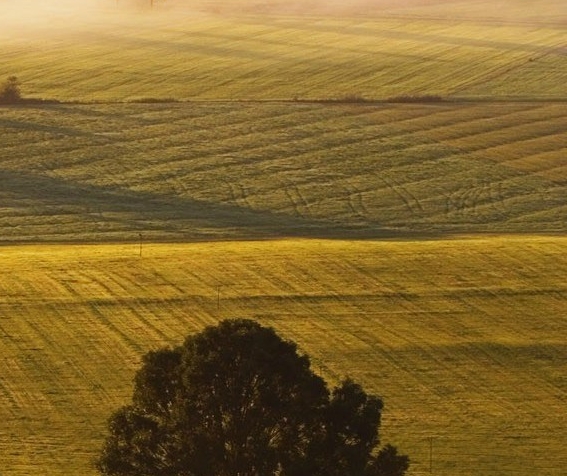 万翼科技上海分公司怎么样