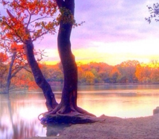 招银理财校园招聘