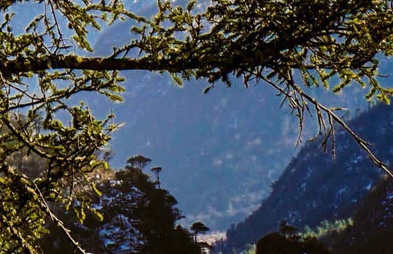 魔兽世界boss大全资料