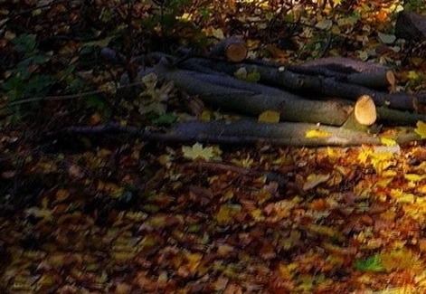 全世界最贵的跑车