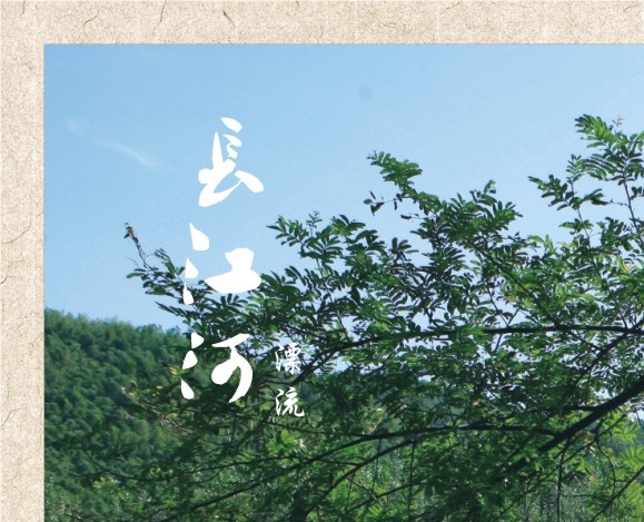 资本为核心企业是什么