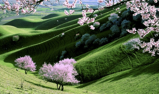 河南中恒电力科技有限公司