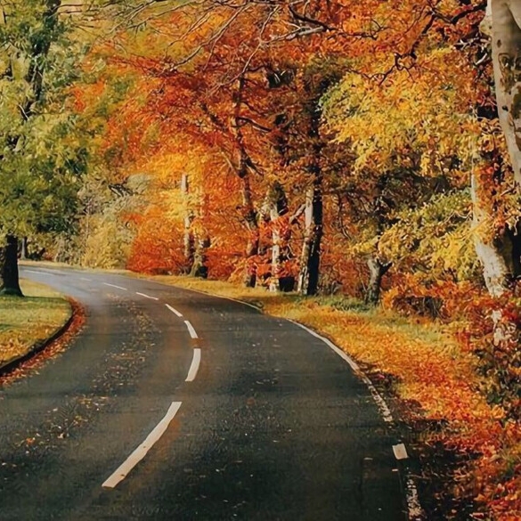 深圳市合川科技有限公司厂区图片