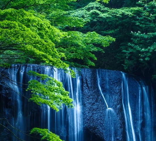 辽宁生物科技有限公司怎么样