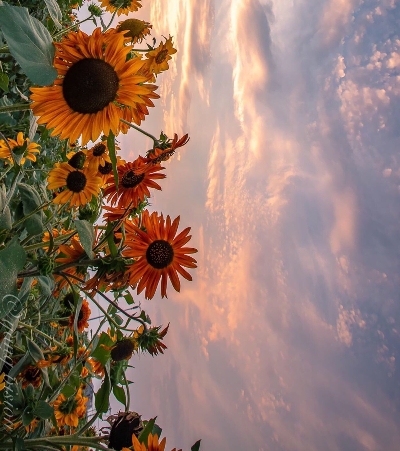 玩游戏怎么全屏