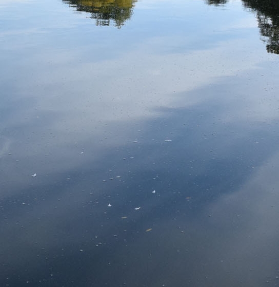 我国陆地面积居世界第几