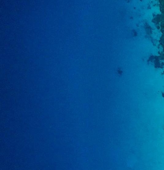 成都华栖云科技有限公司年假