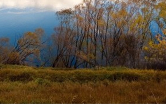 男篮世界杯决赛回放