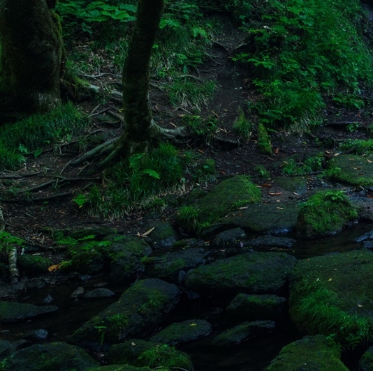 首出网络科技有限公司