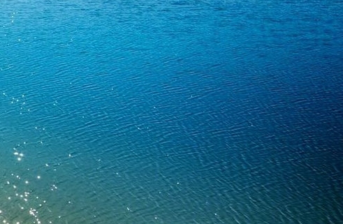 第一次世界大战游戏破解版