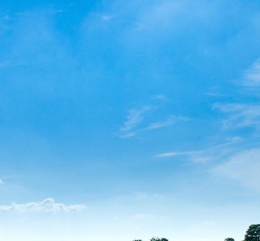 世界上最黑的仙人球