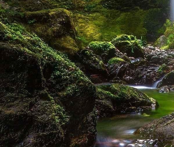 电商合伙人协议合同范本