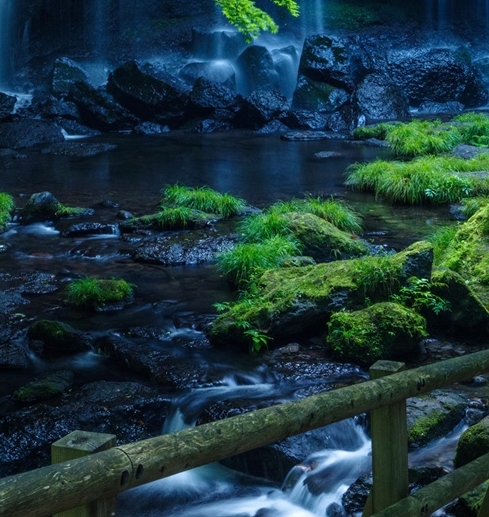 第一次世界大战游戏手游