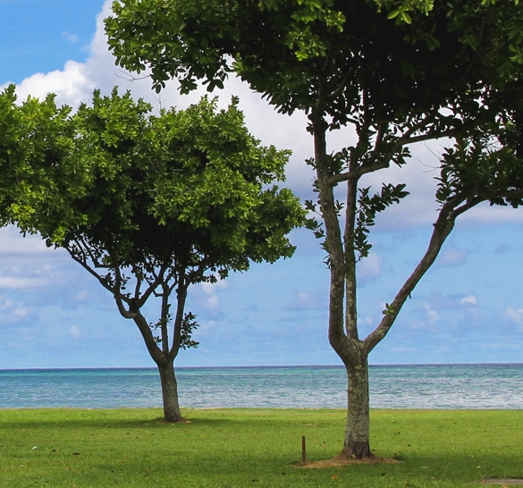 不知道是什么奇异的风