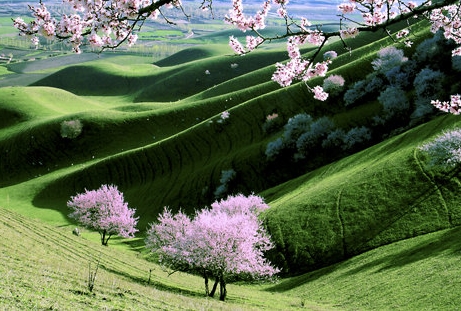 西部世界有几季