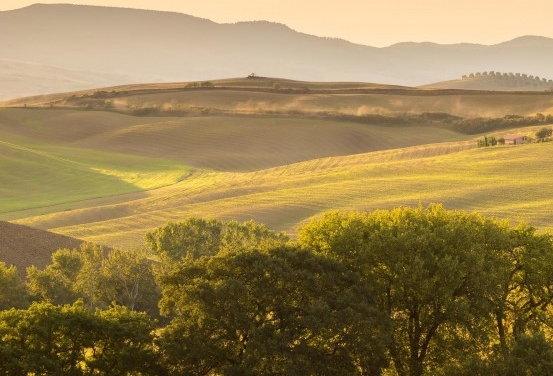 加入中国野生动物保护协会
